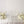 Faux Centrepiece (12 inches) Classic Pure White Rental