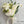 2026 Promotion Floral Package Classic Garden White  -经典白绿