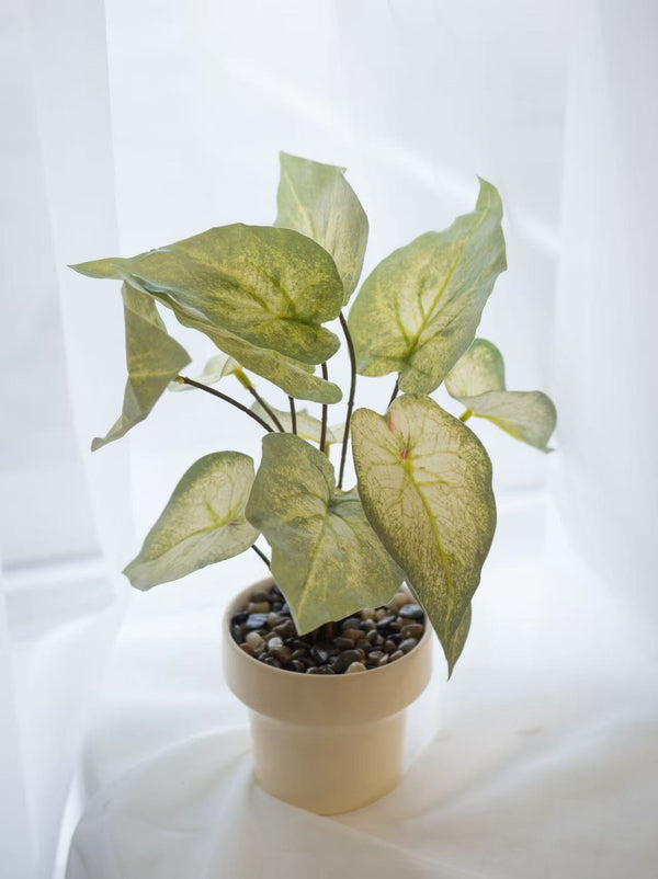 Pastel Leaf Charm - 轻柔叶影仿真盆景