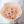 Apricot Austin Garden