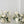 Faux Centrepiece (12 inches) Classic Garden White Rental