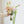 Bride's bouquet Coral Bloom Cascade