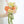 Bride's bouquet Coral Bloom Cascade