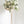 2026 Promotion Floral Package Classic Garden White  -经典白绿