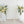 Pillar Style Faux Flower For Rental Blue Lemonade