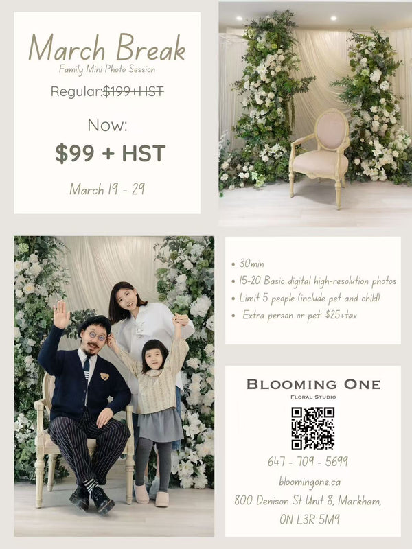 Weekly Special Family Photo Sessions - 每周特惠家庭照