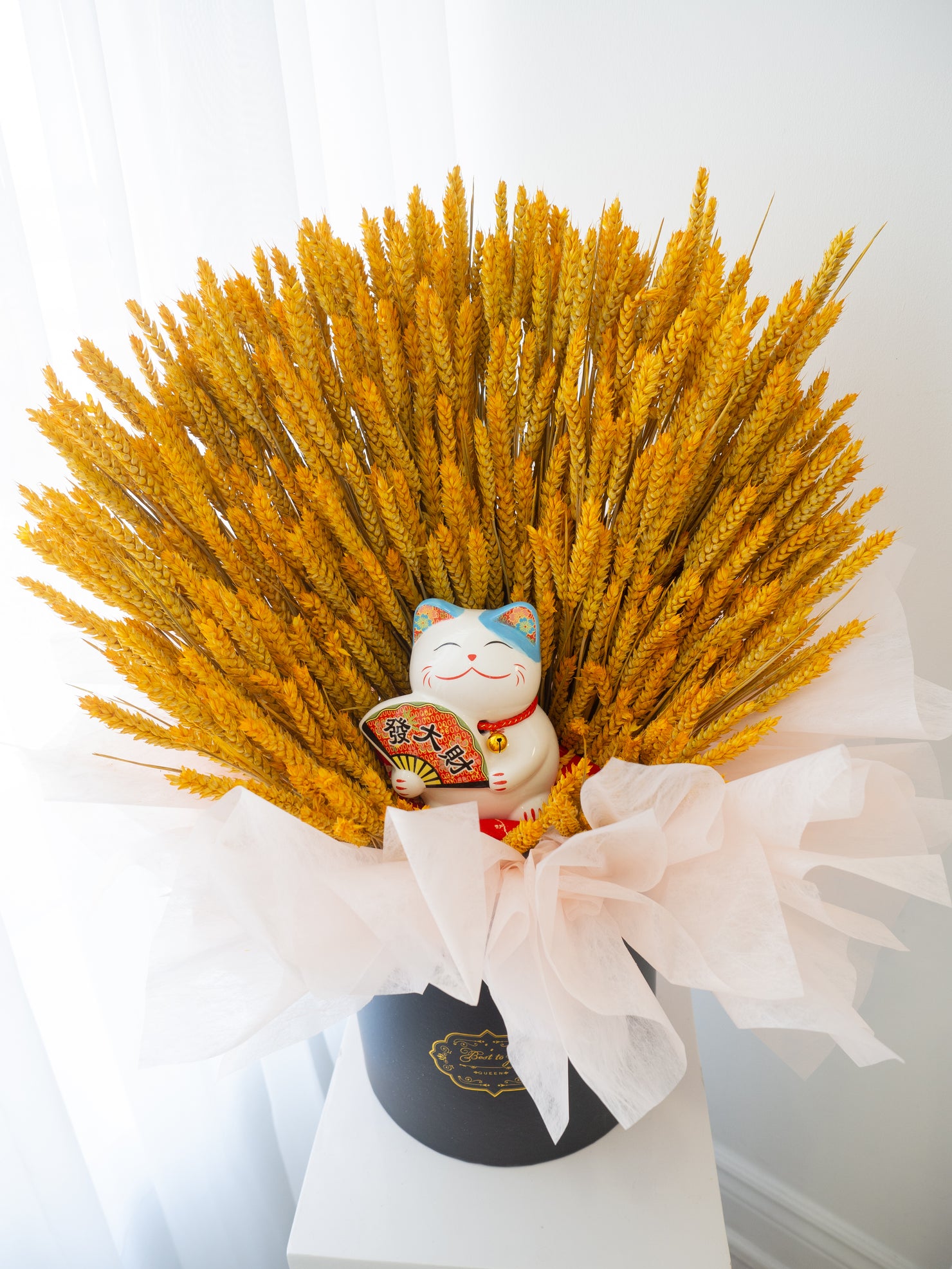 Golden Barley with Lucky Cat - 大麦招财猫