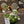 Centrepiece Olive Green 12 inches