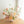 Champagne Bloom Centerpiece