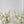 Faux Centrepiece (12 inches) Classic Pure White Rental