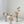 Faux Bud Vase Flower Arrangement (3 Pieces per Set) Classic Pure White Dusty Blush Rental