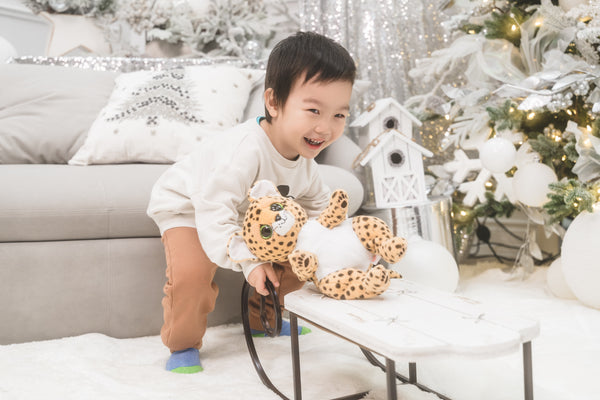 Christmas Family Photo Sessions - 欢乐圣诞家庭照