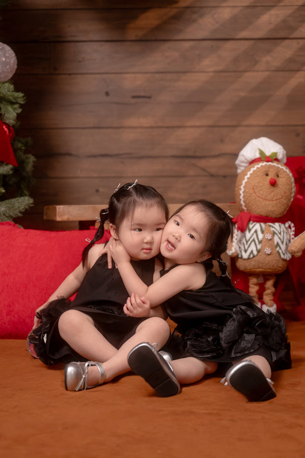 Christmas Family Photo Sessions - 欢乐圣诞家庭照