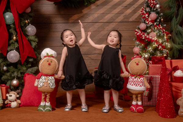 Christmas Family Photo Sessions - 欢乐圣诞家庭照