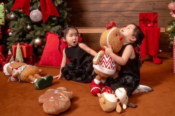 Christmas Family Photo Sessions - 欢乐圣诞家庭照