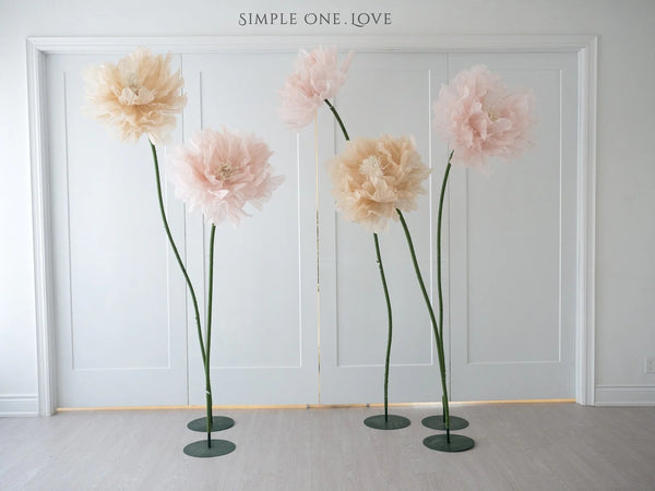 Serenity Grove  - 纯净之森