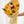 Sunny Milestone