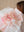 2026 Valentine's Day Lavish Pink- 2026