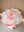 2026 Valentine's Day Lavish Pink- 2026