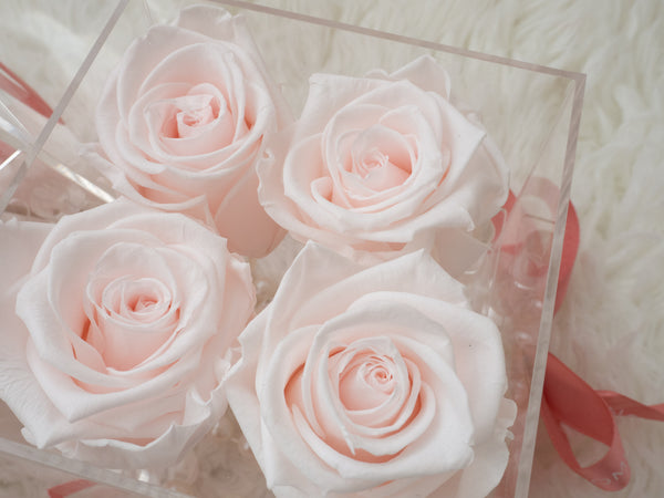 2026 Valentine's Day Muse Preserved Flowers - 2026 情人节 永生花 缪斯