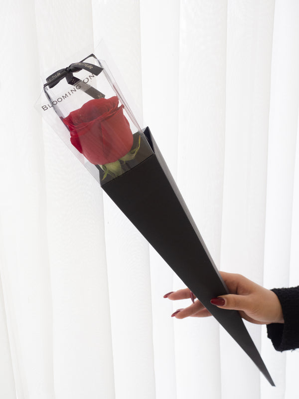 Valentine's Day Single Rose 独宠玫瑰