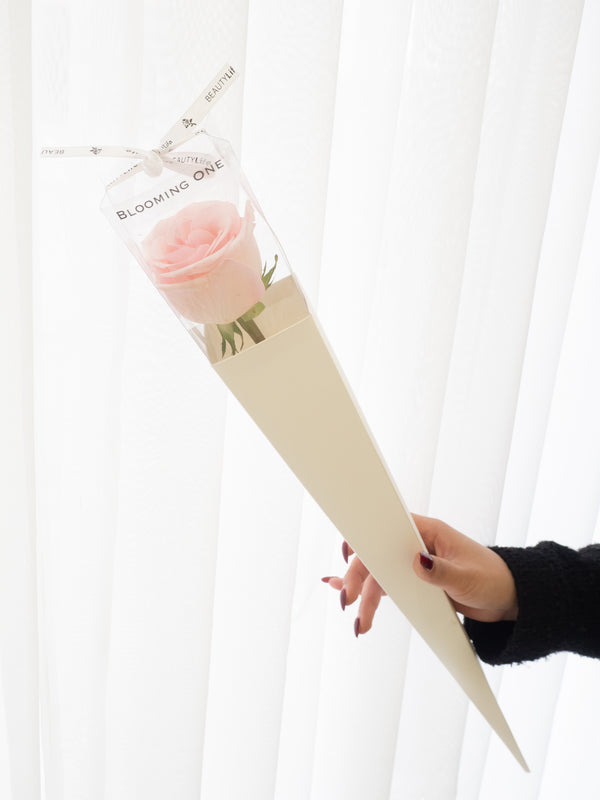 Valentine's Day Single Rose 独宠玫瑰