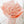 Valentine's Day Pink Rose Bouquet - Soft Gleam - 2026 情人节 绵光
