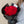 Valentine's Day Red Roses Bouquet - Crimson Noir 焰影