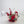Faux Centrepiece (12 inches) Classic Red Blush Rental