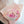 Mother's Day Gentle Love