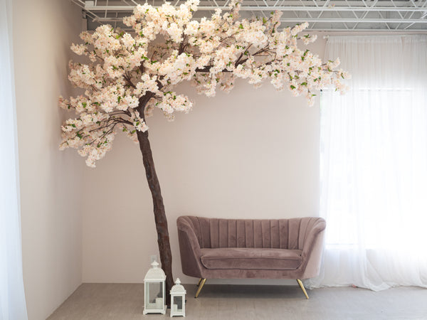 Cherry Blossom Photo Backdrop  – 樱花树下拍摄背景