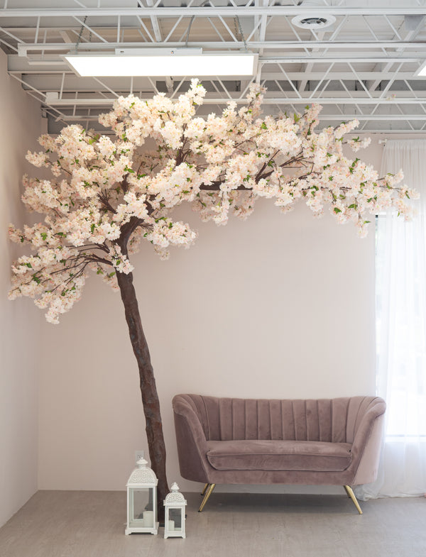 Cherry Blossom Photo Backdrop  – 樱花树下拍摄背景