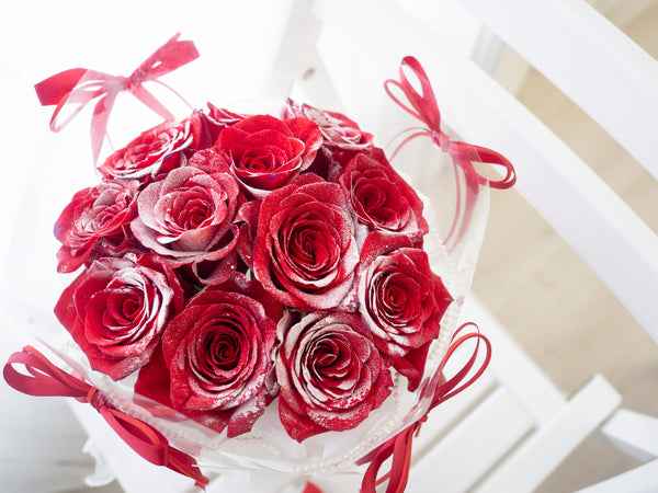 Snow Kissed Roses - 雪吻玫瑰