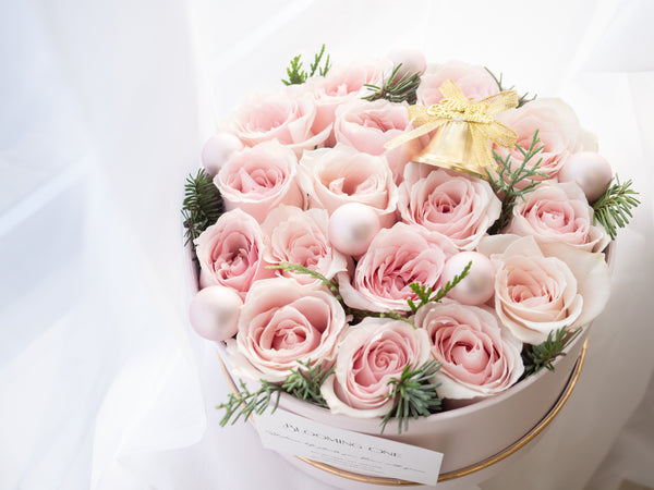 Aurora Bell - 曙光之铃