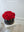 Valentine's Day 18 Red Roses Box rimmed with gold line - 金边红玫瑰盒