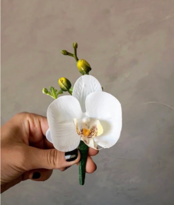 新娘花束 兰花 Cascad----新娘手捧 瀑布蝴蝶兰