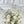 2026 Promotion Floral Package Classic Garden White  -经典白绿