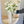 Bride's Bouquet Timeless White Romance