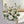Centrepiece Classic Garden White 12 inches - 桌花经典白绿12寸