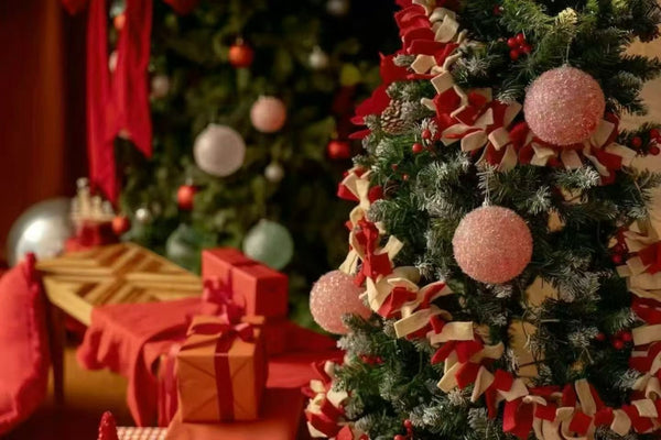 Christmas Family Photo Sessions - 欢乐圣诞家庭照