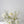 Faux Centrepiece (12 inches) Classic Pure White Rental
