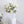 2026 Promotion Floral Package Classic Garden White  -经典白绿