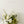 Faux Centrepiece (12 inches) Lime & Oliver Green Rental