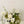 Faux Centrepiece (12 inches) Lime & Oliver Green Rental