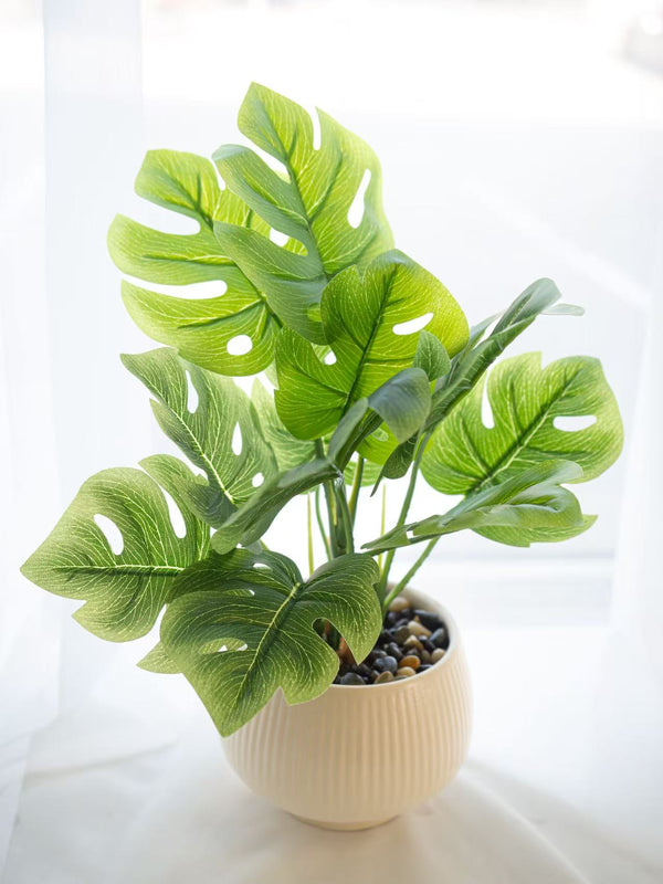 Tropical Whisper - 热带绿意盆栽