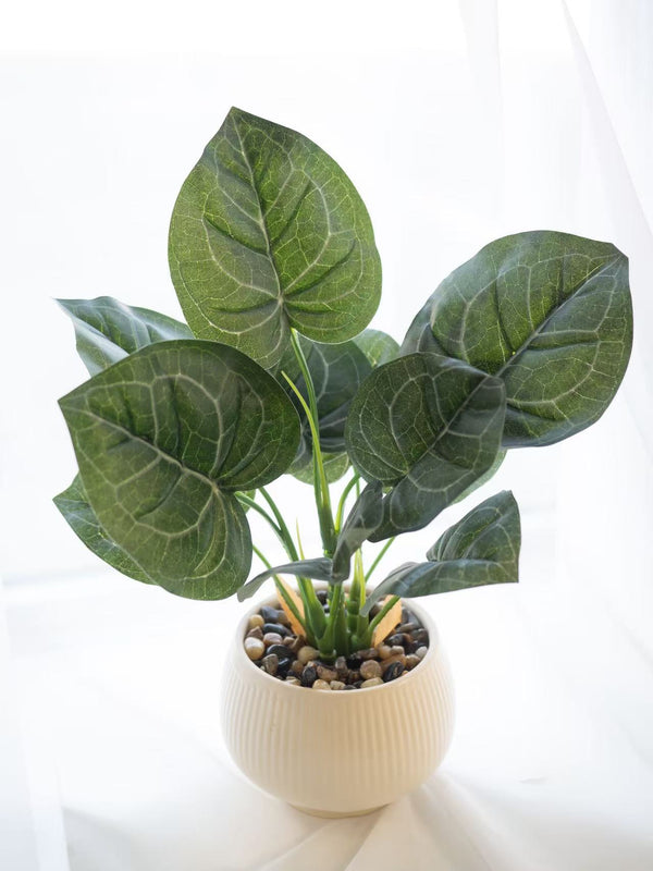 Botanic Silence - 深林低语仿真绿植