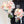 Bride's bouquet Baby Blue Blush