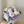 Moonlit Lavender Bouquet