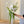 Bride's Bouquet Timeless White Romance