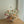 Champagne Bloom Centerpiece